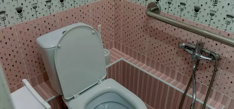 Meeting Diverse Needs With Accessible Restroom Solutions in Bella Vista, AR