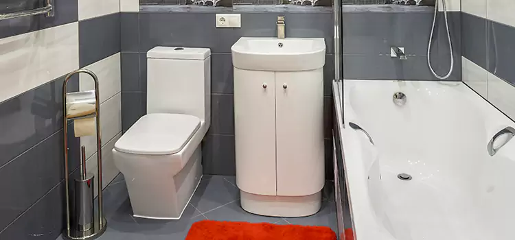 Hansgrohe Shaving Mirror Bella Vista
